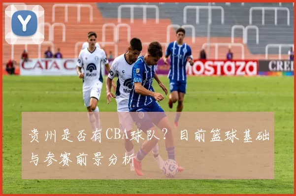 贵州是否有CBA球队?目前篮球基础与参赛前景分析