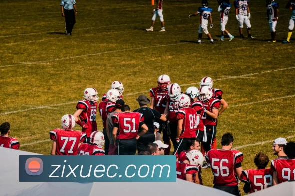 App Interface Preview